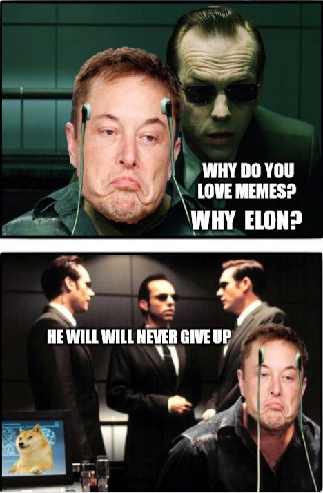 Elon loves memes