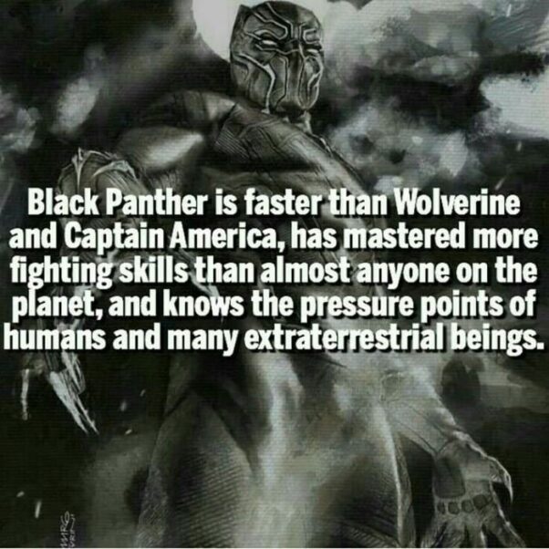 Black Panther Facts