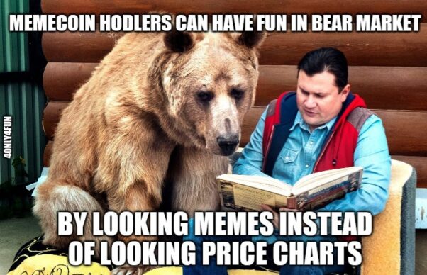 Memecoin Hodlers in Bear Market