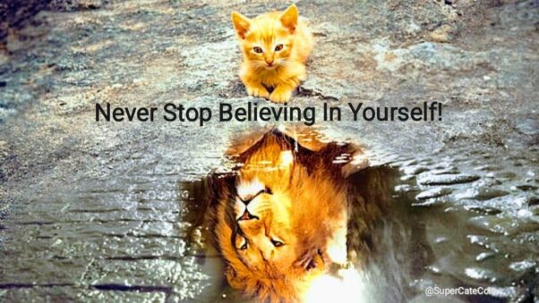 Never Stop Believing In Yourself