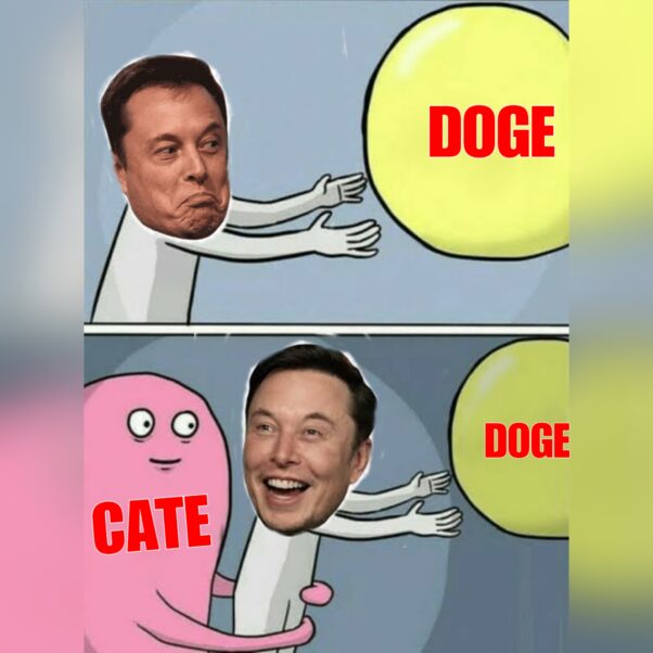 Elon, Come to Mama!