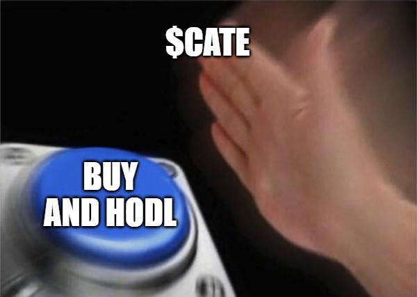$Cate Token Buy and HODL!!!