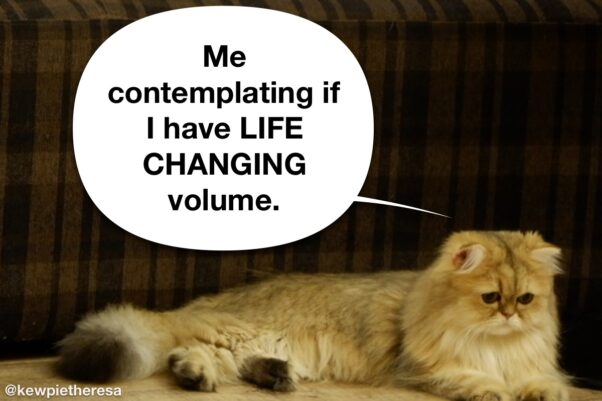 Overthinking cat