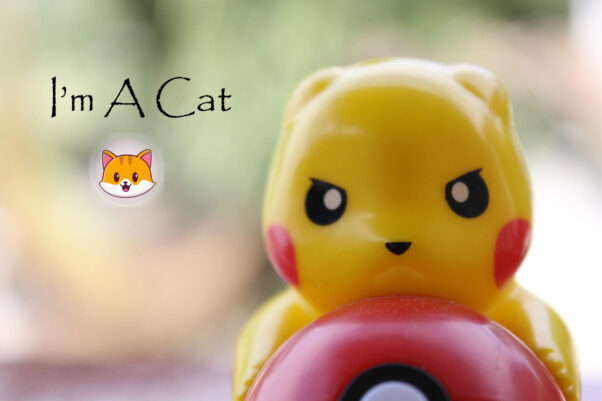 I'm A Cat – Pikapic