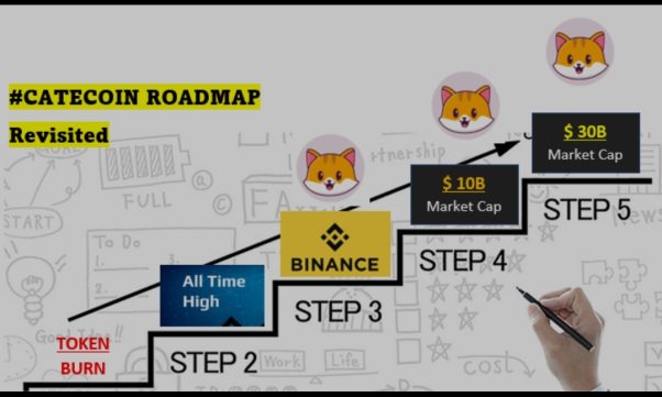 Revisiting Catecoin Roadmap