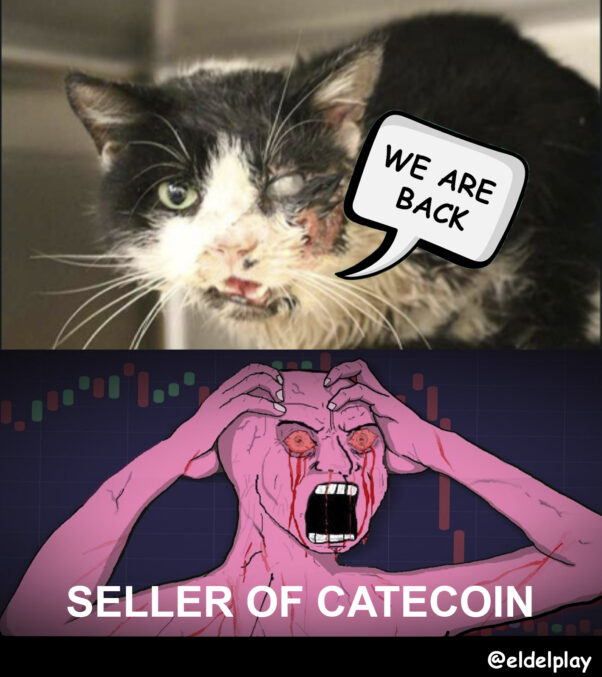 Catecoin Seller