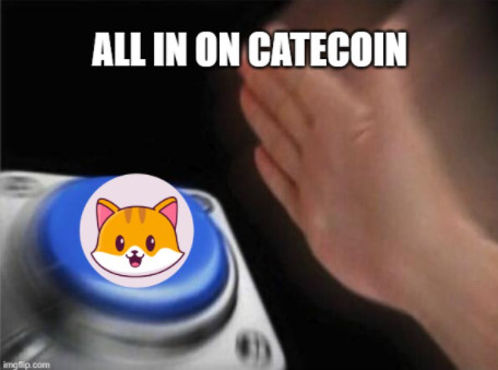 CATECOIN ALL IN
