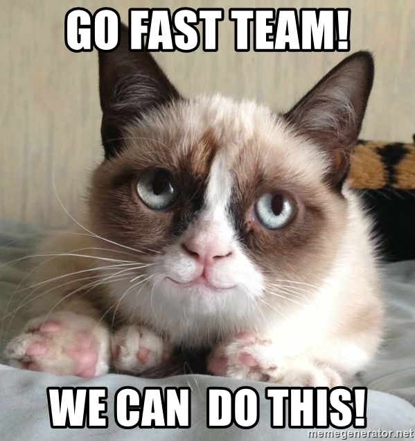 Go Fast Team! We Can Do This!