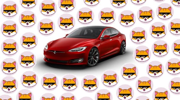 Elon, Tesla and CATE go together
