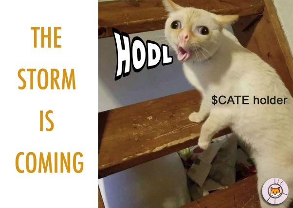 HODL!! CATE STORM IS COMING!!