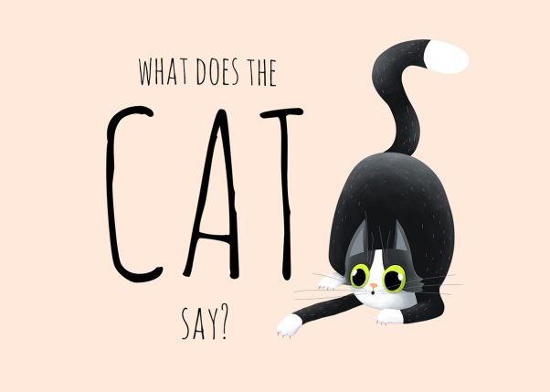 What does the cat says