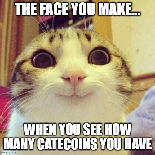 That happy feeling you have when you see your catecoin