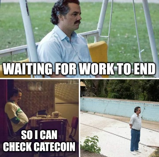 Waiting for $catecoin updates.