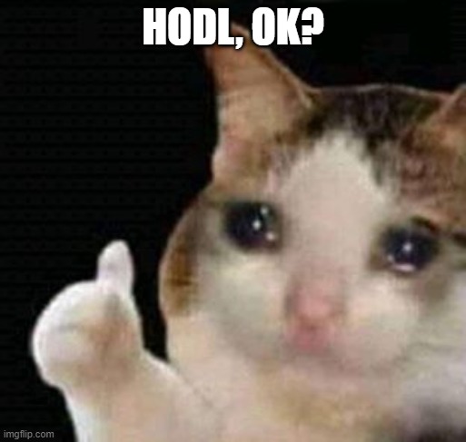 Just HODL on your catecoin! :)