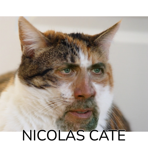 NICOLAS CATE #2