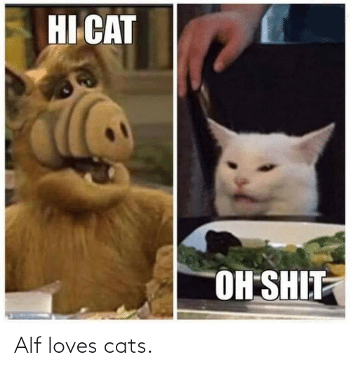ALF and CAT mem for u