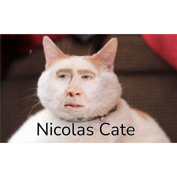 NICOLAS CATE #1