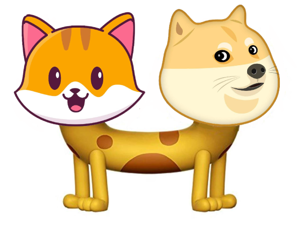 Then: CatDog Now:CateDoge
