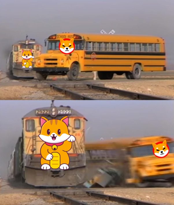 Move over Shiba, It's Catecoin time