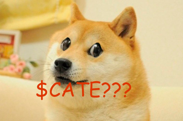DOGE surprised when meeting wiith CATECOIN