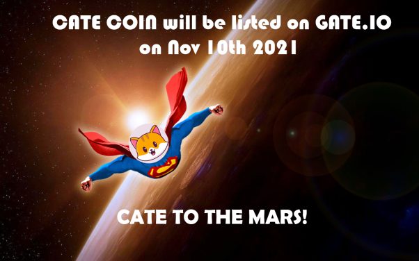 Cate Coin to the Moon! 🚀🚀🚀