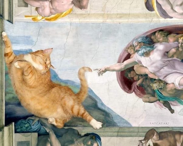 THE CREATION OF CATECOIN