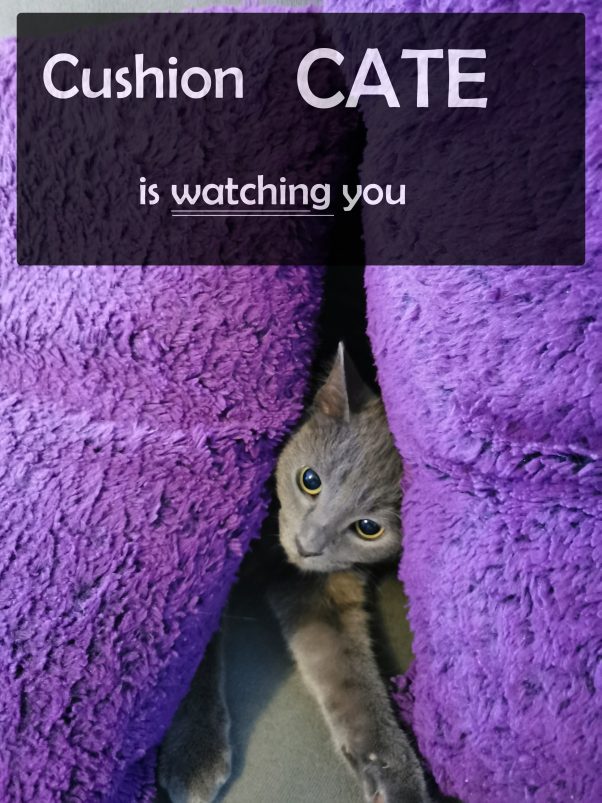 IT'S WATCHING YOU!