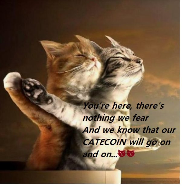 CATECOIN will go on and on….. 😻😻