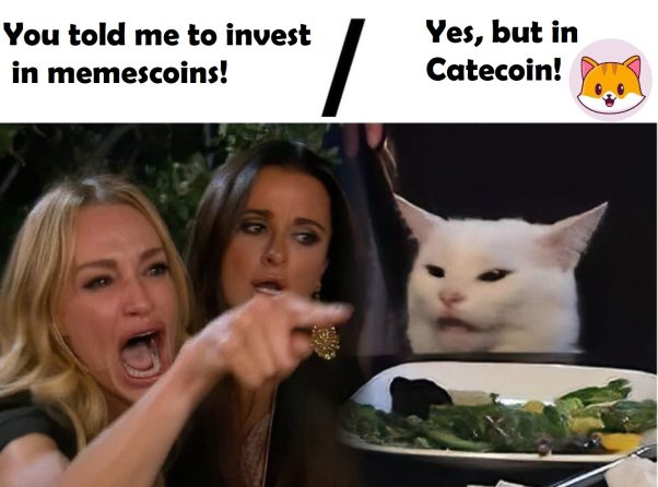 Catecoin reflections