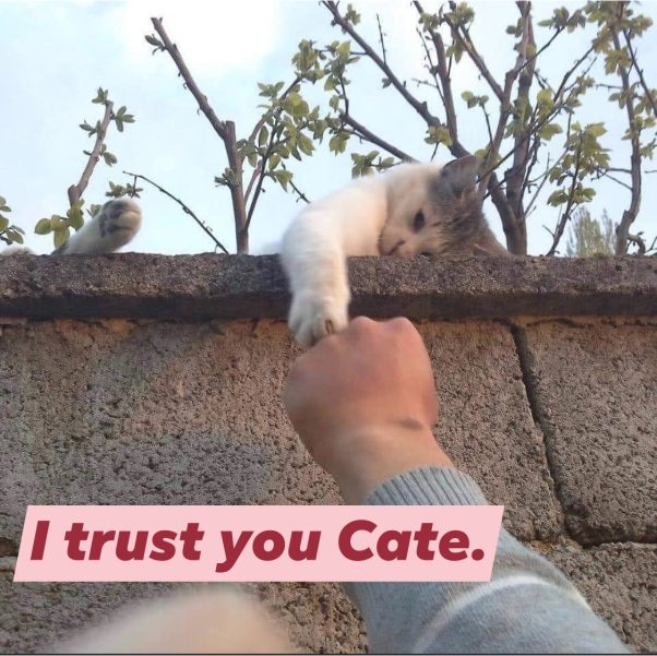 I trust you cate. Catecoin Fist Bump.