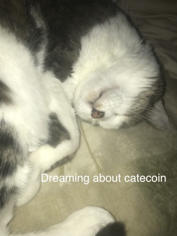 Dreaming about Catecoin