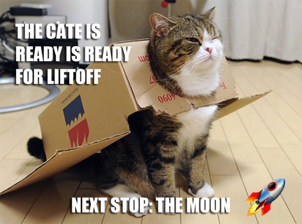 Cate Rocket to the moon