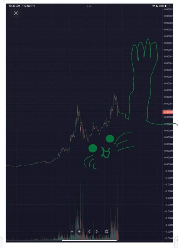 See the bigger picture? Cat to the moon is waving!
