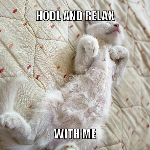 RELAX AND HODL WITH ME RIGHT NOW