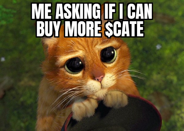 More $CATE Please!