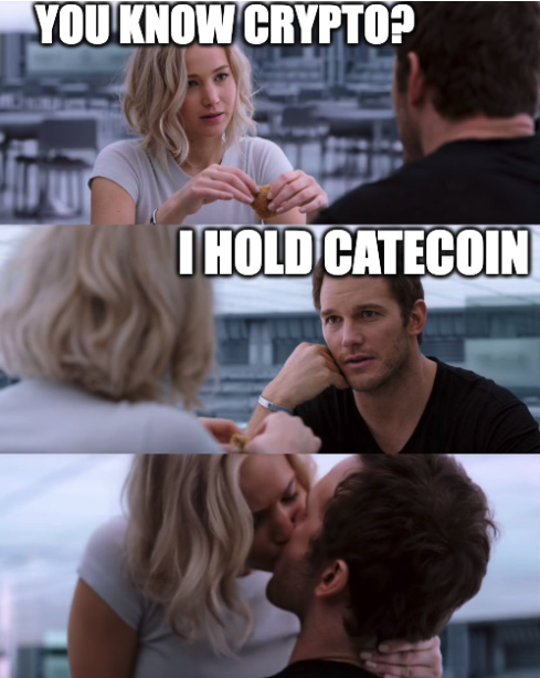 I ONLY HOLD CATECOIN