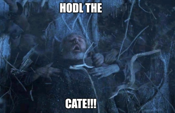 HODL THE CATE…Hodor