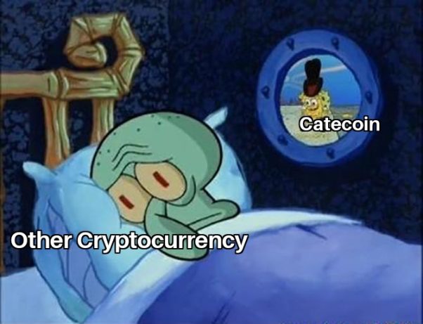 CATECOIN  is the future😻😻😻😻