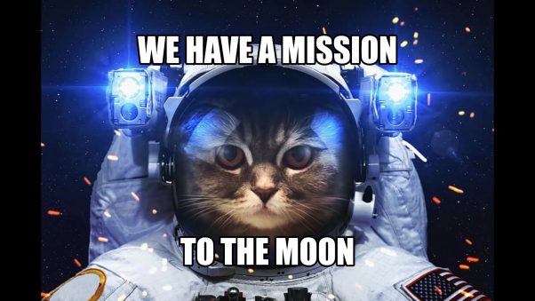 STOP SELLING IT $CATECOIN #TOTHEMOON #HODL