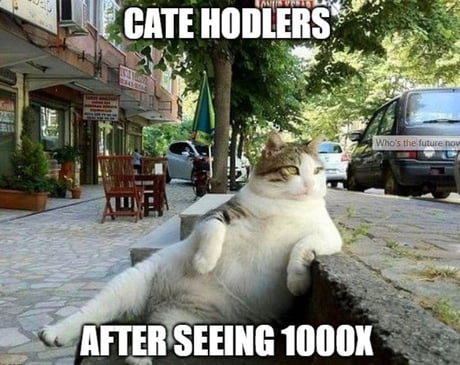 HOLD CATECOIN, GOTO 0,001 $ !!