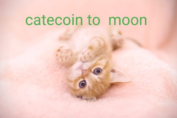 Catecoin 1 billion marketcap