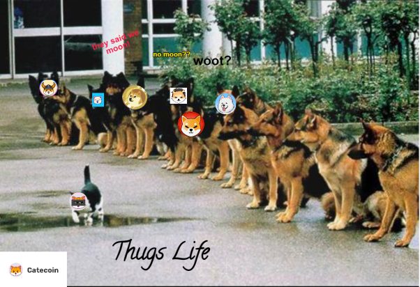 Thugs life we go to the moon