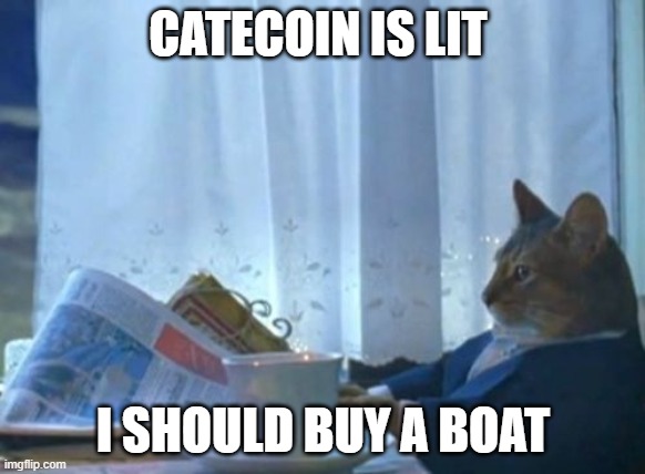 I should and must buy a boat