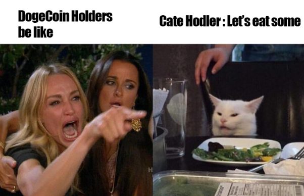 Relax Cate Hodlers, let's some eat