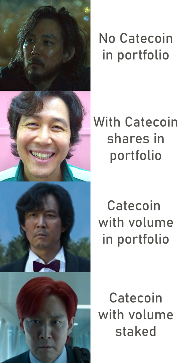 Different catecoin holders