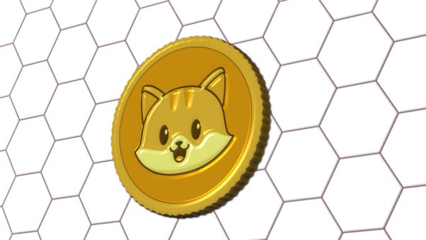 This is your Catecoin!