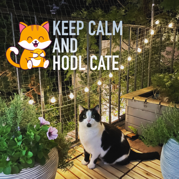 KEEP CALM AND HODL  CATE