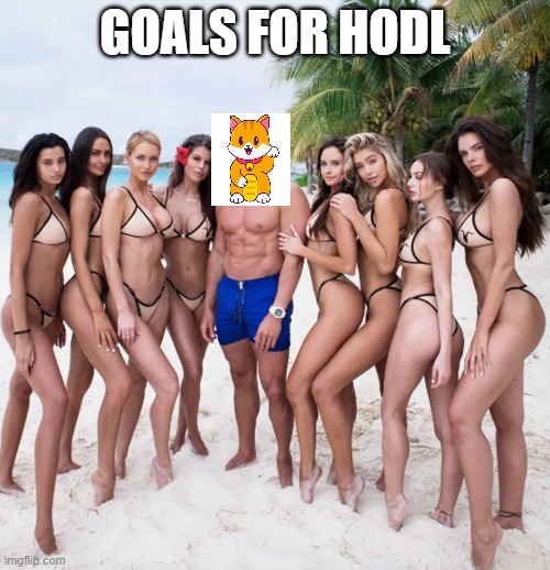 HODL GOALS FOR MY GROUP