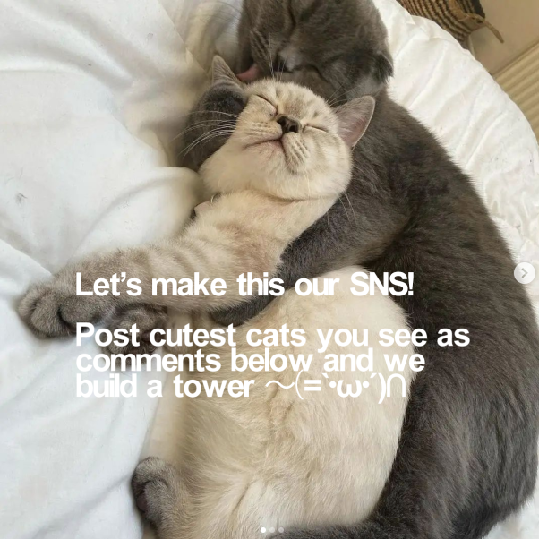 CUTE CAT COMMENT TOWER CHALLENGE