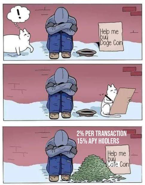 Catecoin helping me hodl